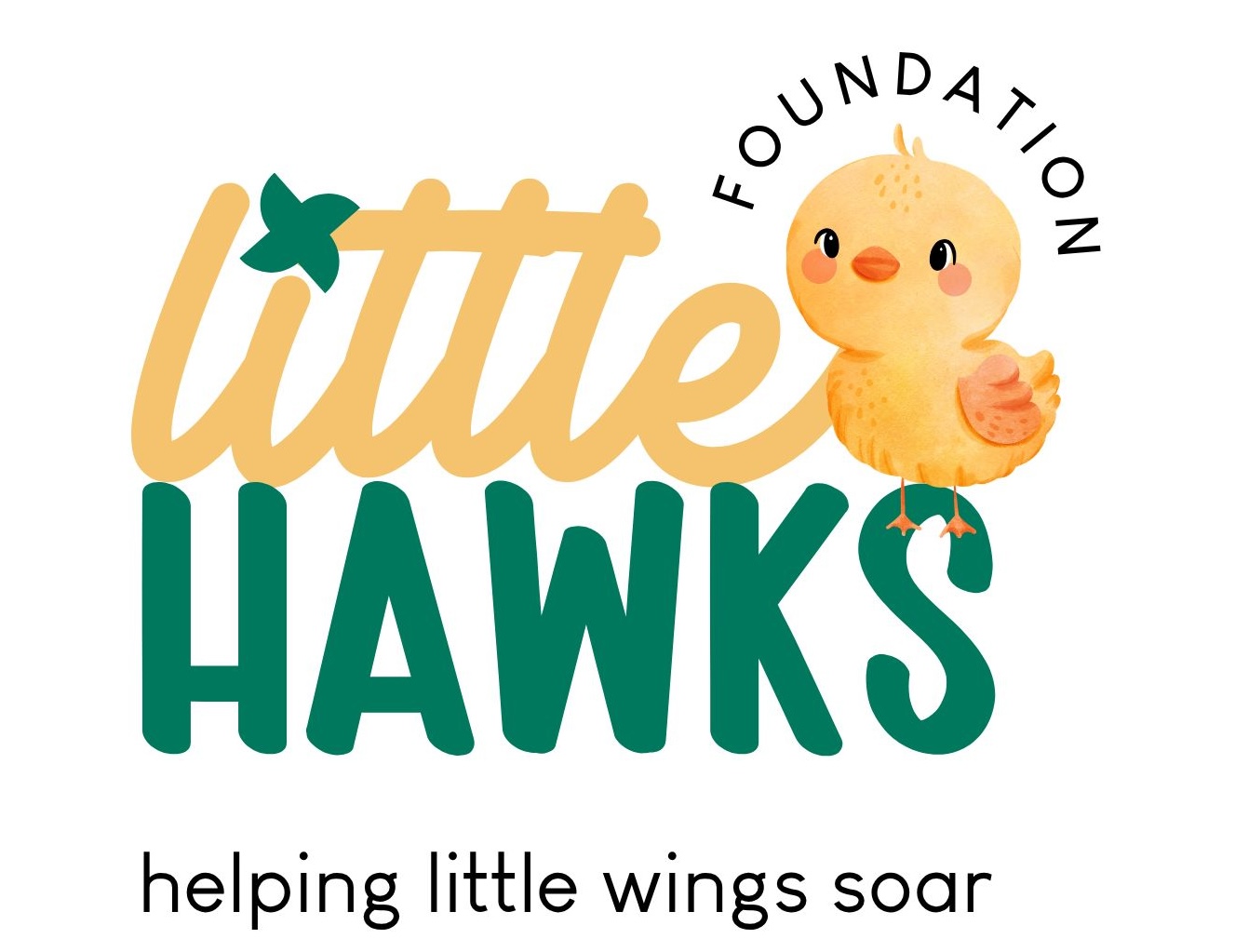 Little Hawks Foundation